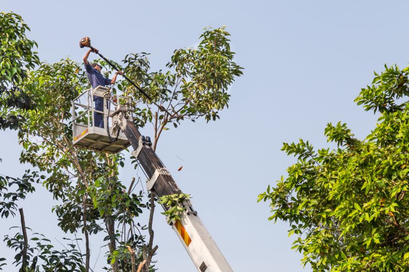 Chairlift Maintenance Team